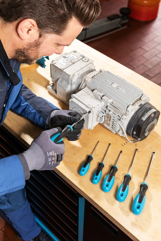 HAZET Schraubendreher-Satz 810/2 15 HAZET Schraubendreher-Satz 810/2 – Bild 13